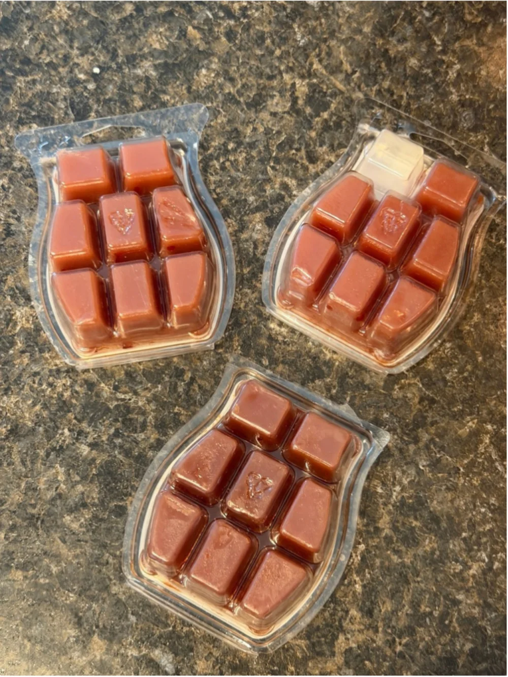Scentsy Winter Pine Wax Melts
